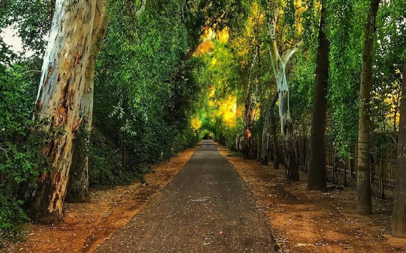 🌊 피닉스 호수(Phoenix-See)